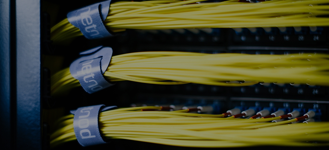 Netnod Optical IX Service