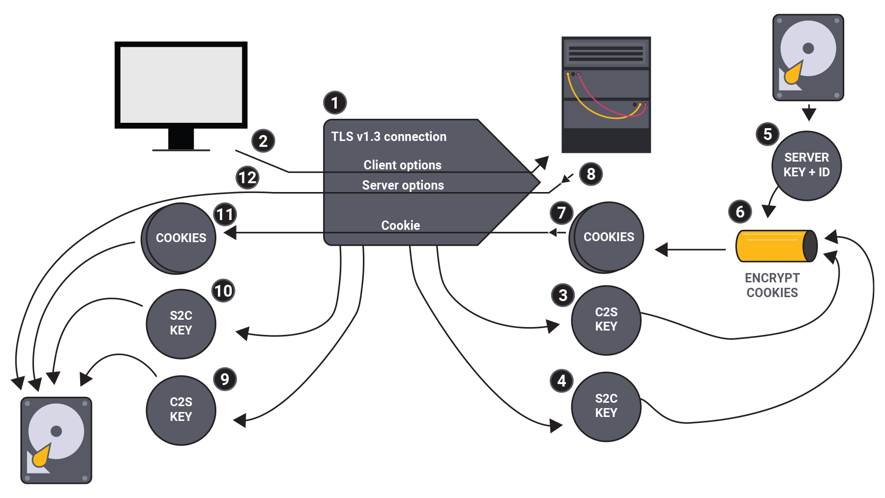 NTS wp figure 1