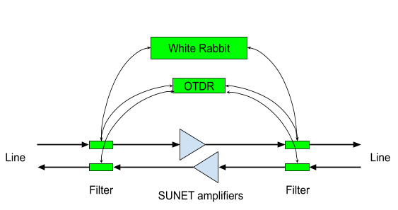 what is white Rabbit