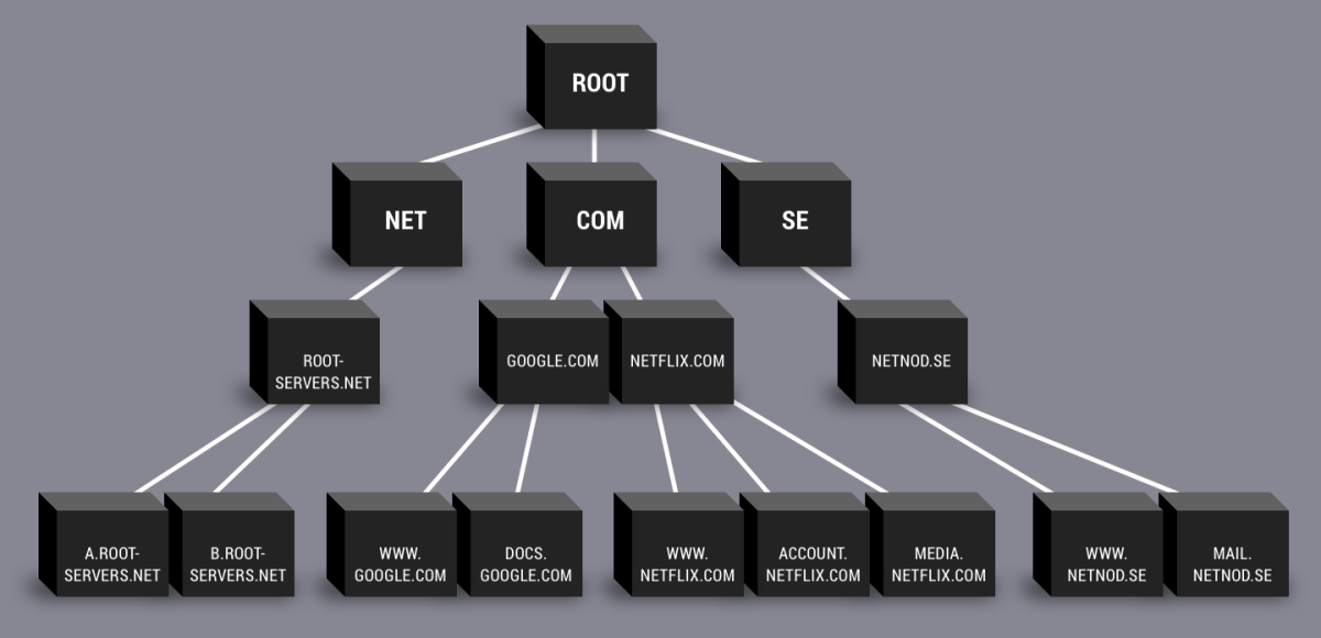 The domain registration hierarchy and WHOIS